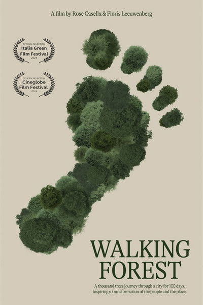 Poster do Filme Walking forest