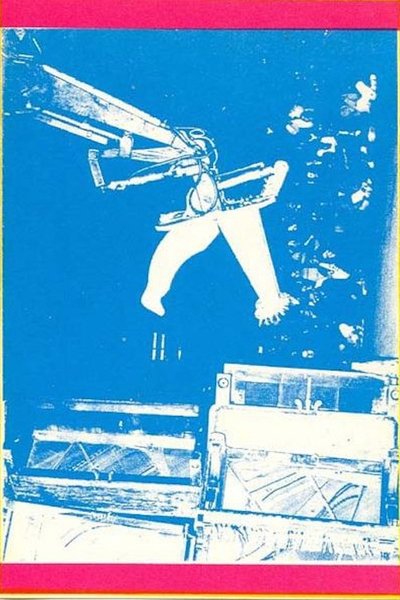 Poster do Filme Illusions of Shameless Abundance