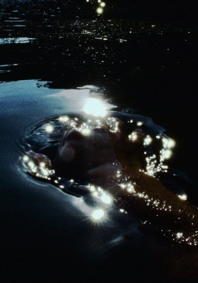 movie poster for under the flower moon