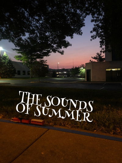 Poster do Filme The Sounds of Summer