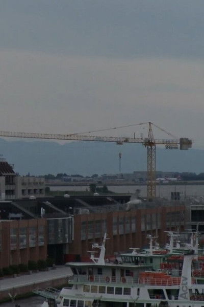 movie poster for LA LINEA GENERALE