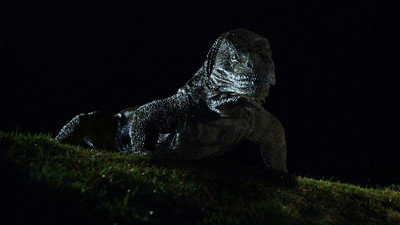Görsel #276781