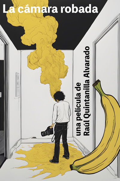 Poster do Filme La cámara robada