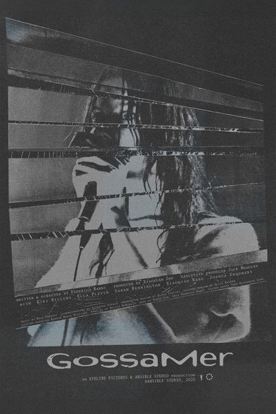 Poster do Filme Gossamer