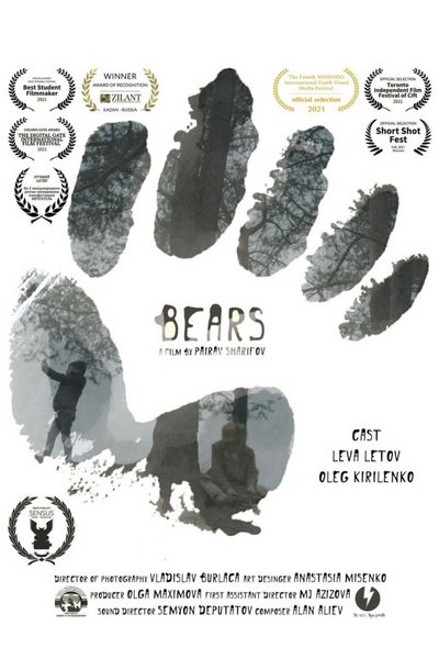 Poster do Filme Медведи