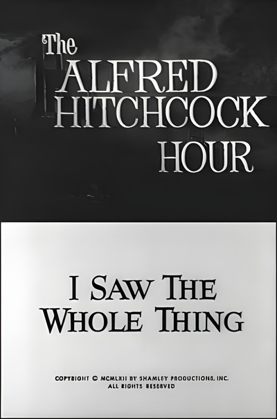 I Saw the Whole Thing