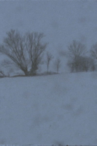 movie poster for Landscape as Landscape - 21