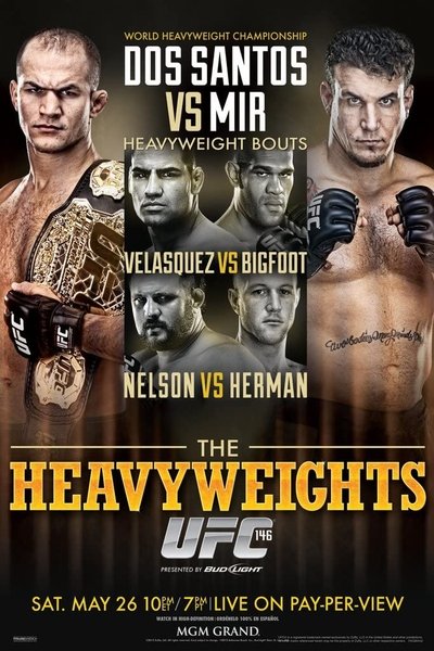 Poster for the movie UFC 146: Dos Santos vs. Mir