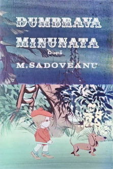 Poster do Filme Dumbrava minunată