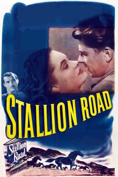 movie poster for Stallion Road