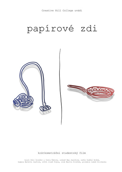 movie poster for Paper Walls