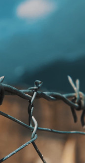 Poster do Filme Femijet E Diktatures