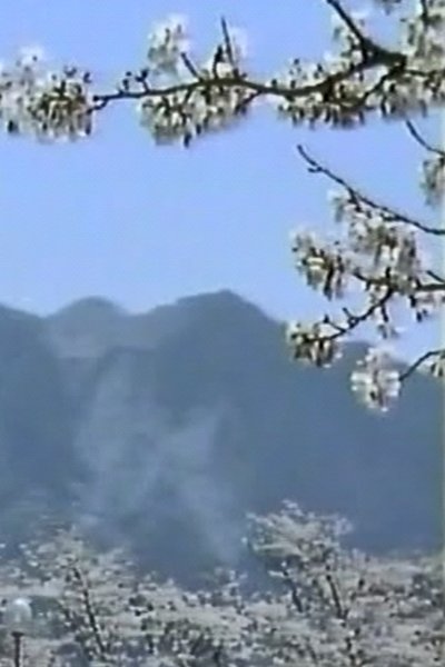 Poster do Filme Mt. Buko