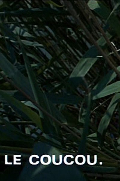 Poster do Filme Le coucou