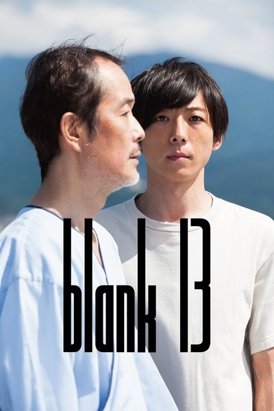 Poster for the movie blank 13