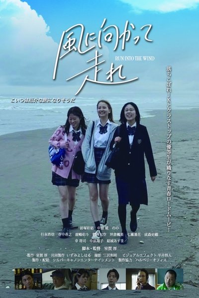 movie poster for Run Into The Wind