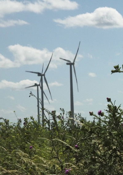 movie poster for Windpark: Ein Lichtspiel bei Nacht