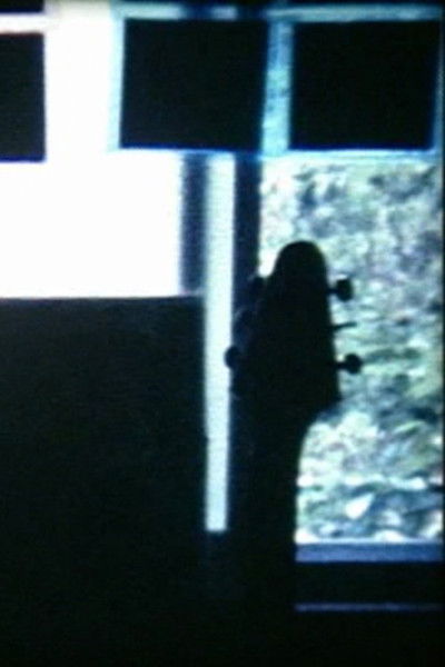 movie poster for Seventeen