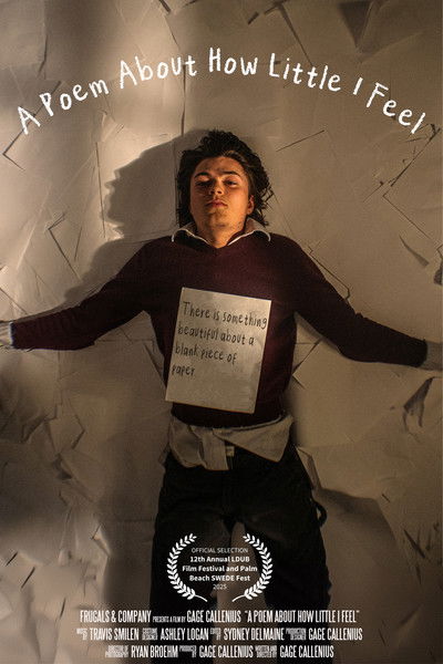Poster do Filme A Poem About How Little I Feel
