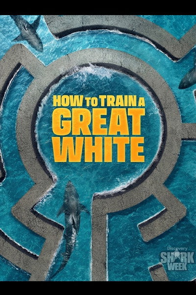 How to Train a Great White