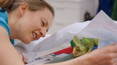 Episode 7
