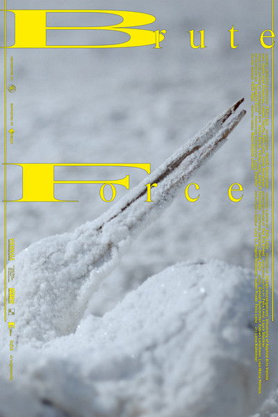 Poster do Filme Brute Force
