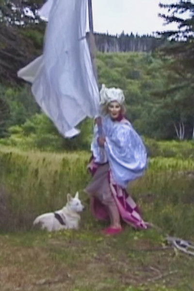 Poster do Filme Waltz