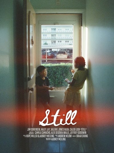 movie poster for Still