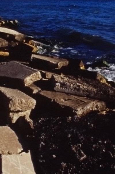 Poster do Filme Low Tide