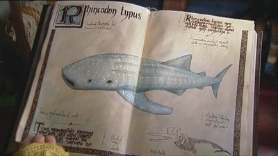 tv poster