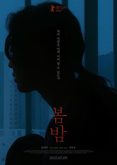 Poster do Filme 봄밤