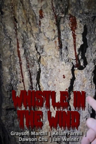 Poster do Filme Whistle in the Wind