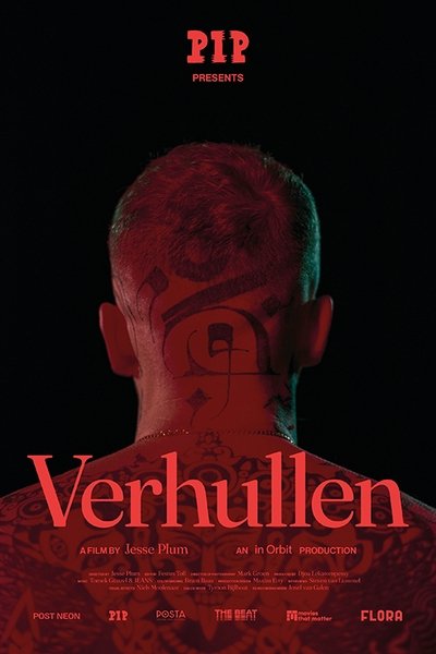 movie poster for Conceal