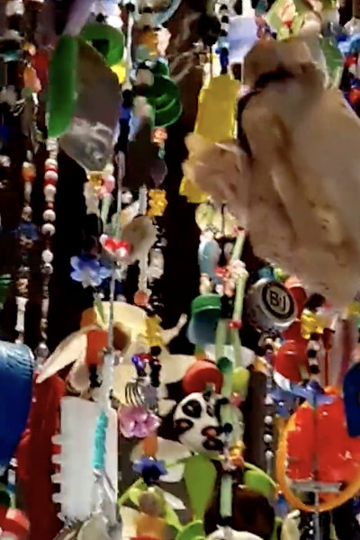 movie poster for Enhebrados, Lo que trajo el mar