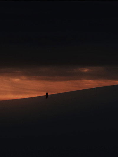 Poster do Filme Dove gli Alberi non Parlano