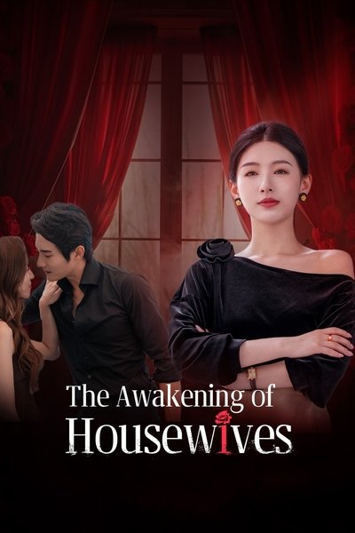poster for The Awakening of Housewives