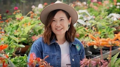 Episode 27 Spring: Garden for Birds & No-Mow Lawn