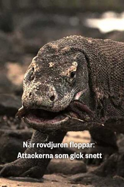 Poster do Filme Predator Fail: When Prey Attacks