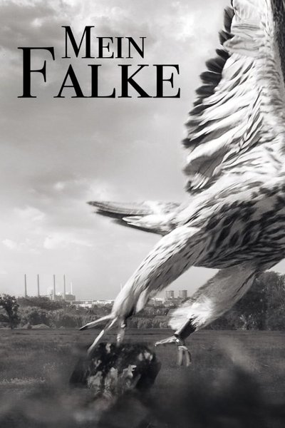 Poster do Filme Mein Falke