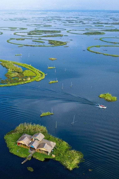 Poster do Filme Loktak – The Dying Lake of Manipur?