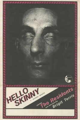 Poster do Filme Hello Skinny