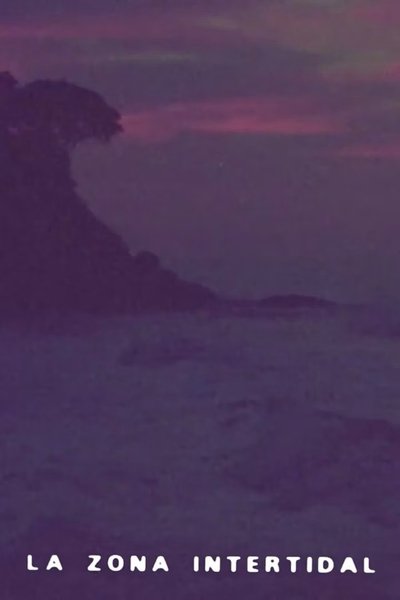 Poster do Filme La Zona Intertidal