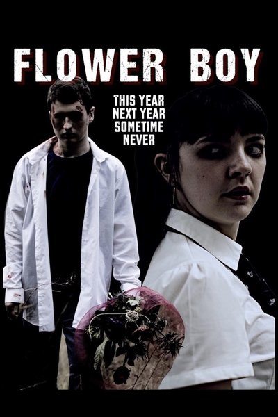 Poster do Filme Flower Boy