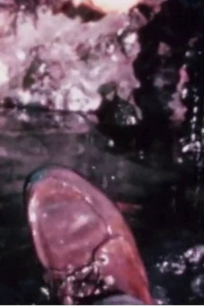 Watch!Cleansed II Movie Online Free 123Movies