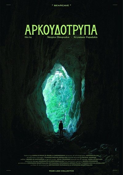 Poster do Filme Αρκουδότρυπα