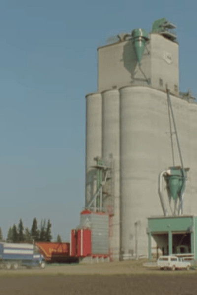 Poster do Filme This Borrowed Land