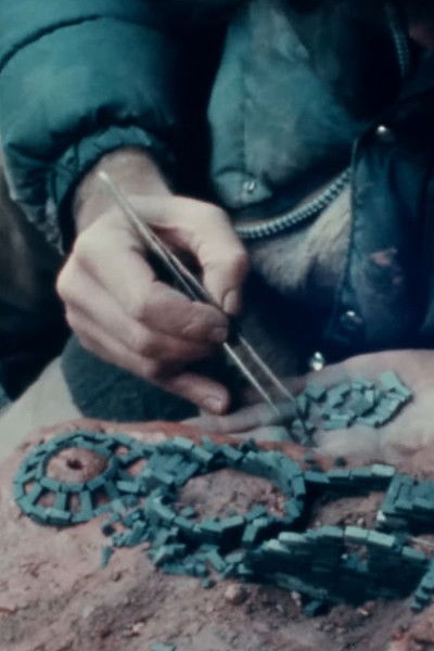 Poster do Filme Dwellings Winter