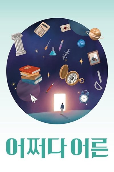 poster for 어쩌다 어른