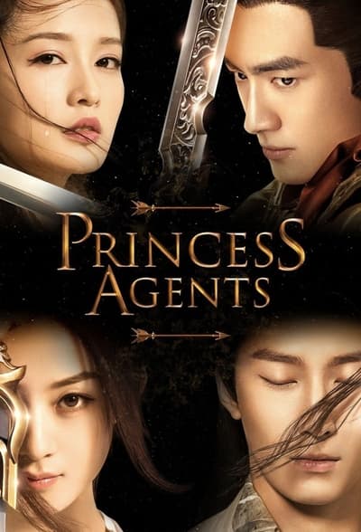 Princess Agents TV Show Poster