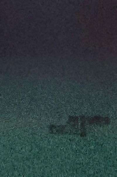 Poster do Filme L'arbre